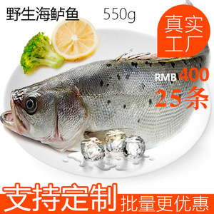 冷冻鲈鱼市场分析 价格、图片、批发采购及供应商渠道