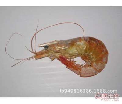 鲁滨海产工厂直营 产地批发优质虾类干制品