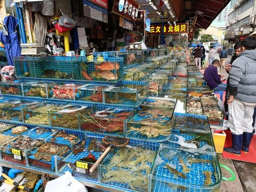 新春佳节供应稳 南粤大地消费旺——广东全力保障春节期间重要民生商品供应