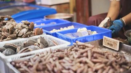 烟台开海首日！凌晨码头沸腾，生猛海鲜批量上岸直供市民餐桌