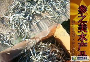 烟台养马岛马步鱼上市 原味好鱼，鲜达四方