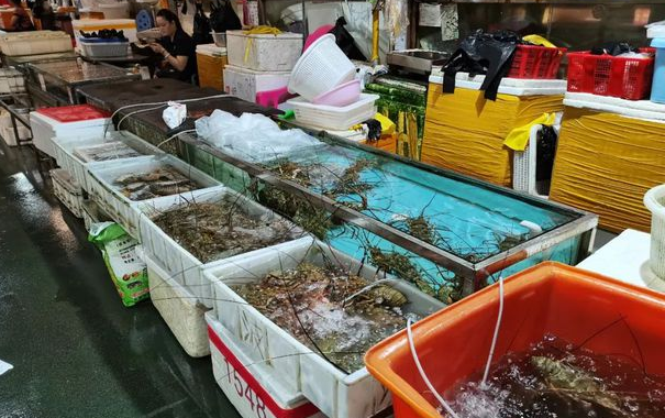 广东省主要水产品批发市场一览